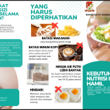 NUTRISI IBU HAMIL