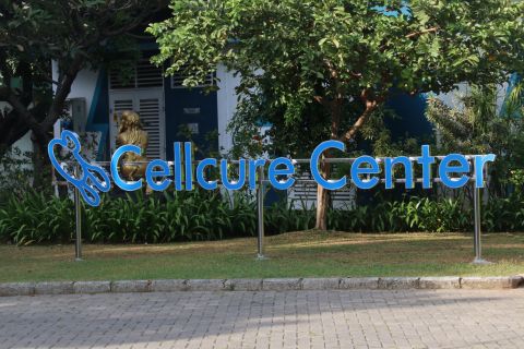 CELLCURE CENTRE